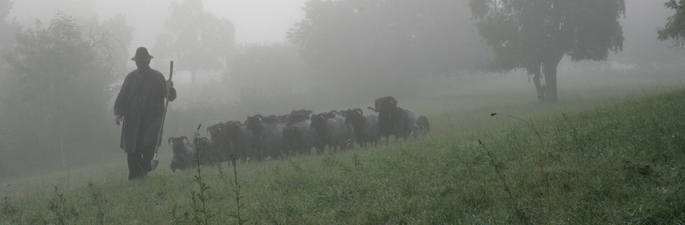 Foto K.H. Nill